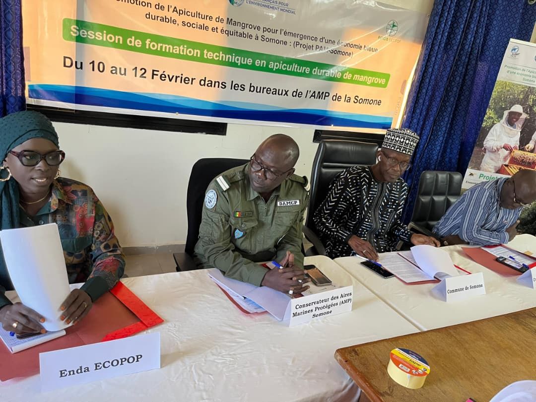 PAM-Somone : Enda ECOPOP renforce les capacités locales en apiculture durable de mangrove